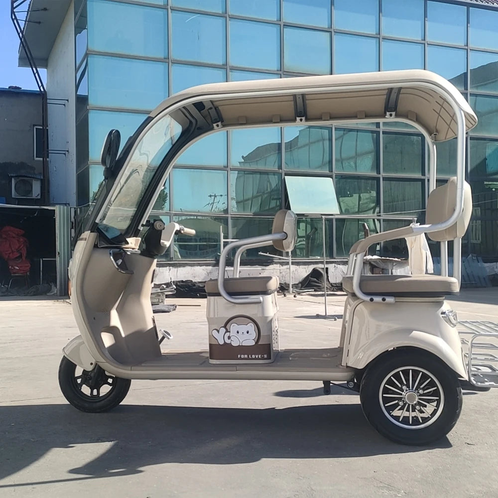 Electric Tricycle Bike 800W Family Use Ebike 3 Wheel Electric Scooter With Roof