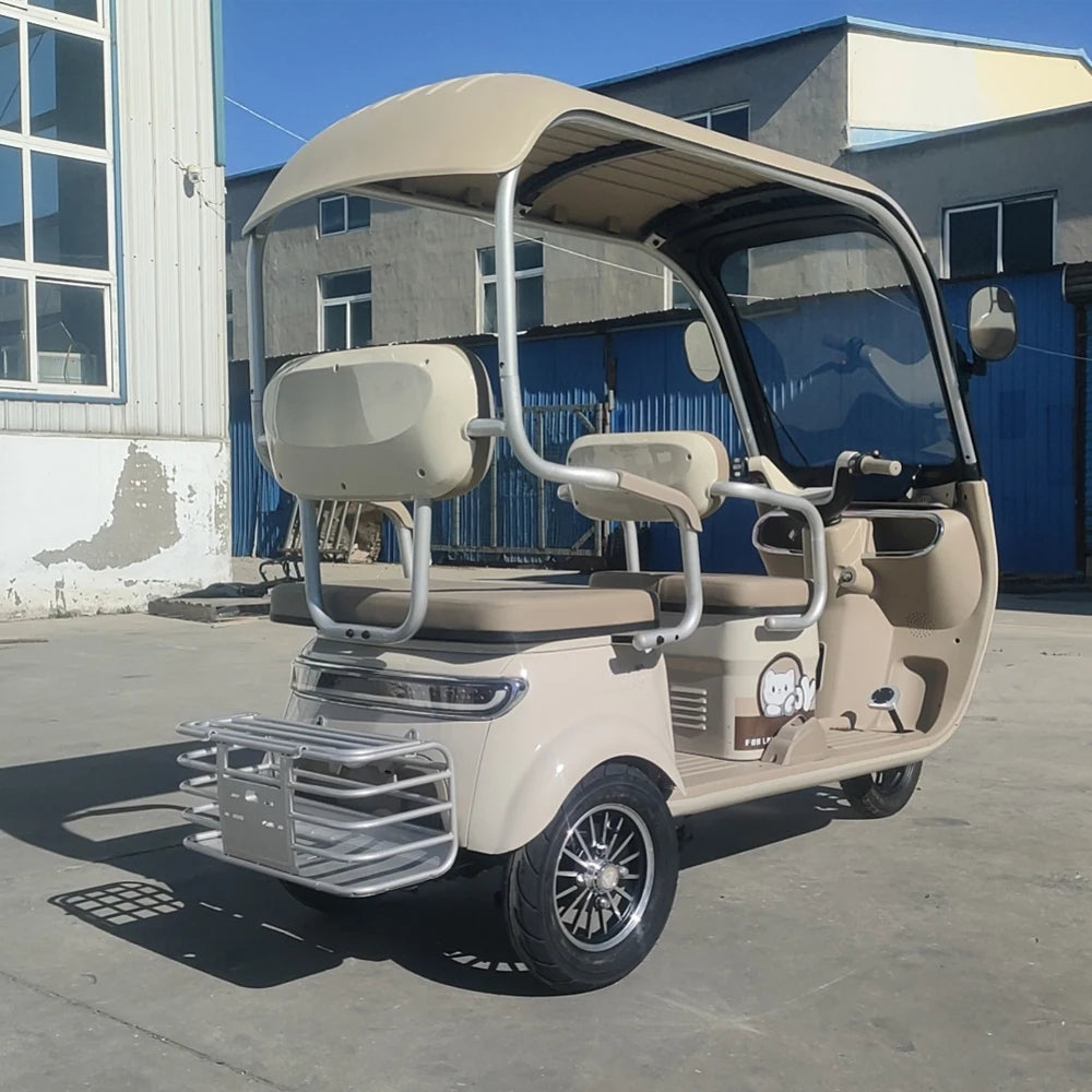 Electric Tricycle Bike 800W Family Use Ebike 3 Wheel Electric Scooter With Roof