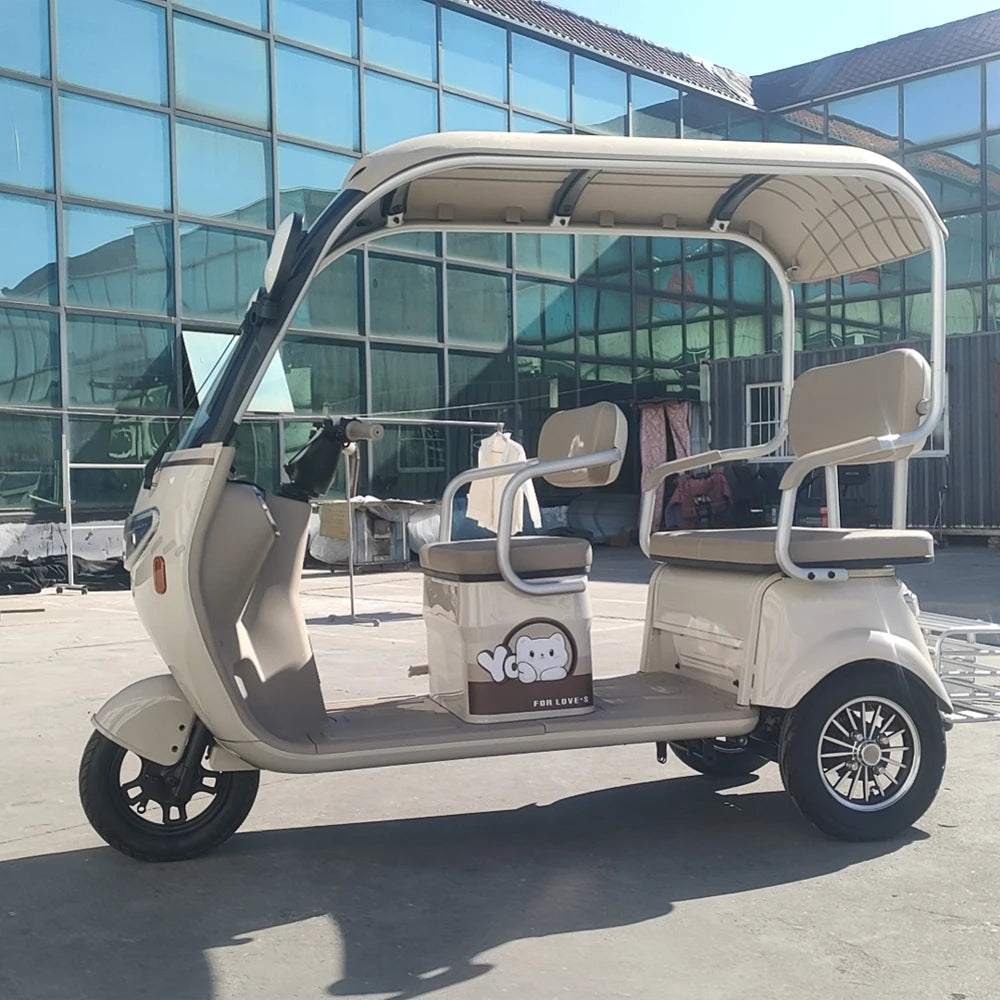 Electric Tricycle Bike 800W Family Use Ebike 3 Wheel Electric Scooter With Roof