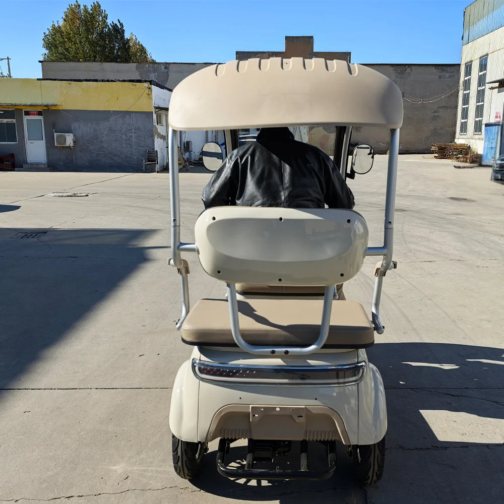 Electric Tricycle Bike 800W Family Use Ebike 3 Wheel Electric Scooter With Roof